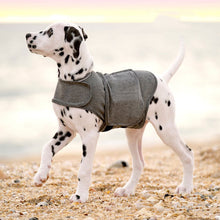 Pet Clothes Dog Anxiety Jacket Warm Vest - 0 - CJ