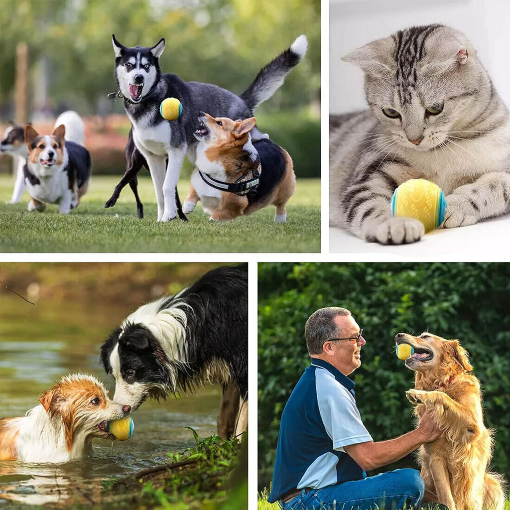 Scooby-Doo Durable Squeaky Set Of 8 Dog Balls For Teeth Cleaning Interactive UK