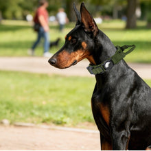 Dog Tactical Positioning Collar, Outdoor Nylon - 0 - CJ