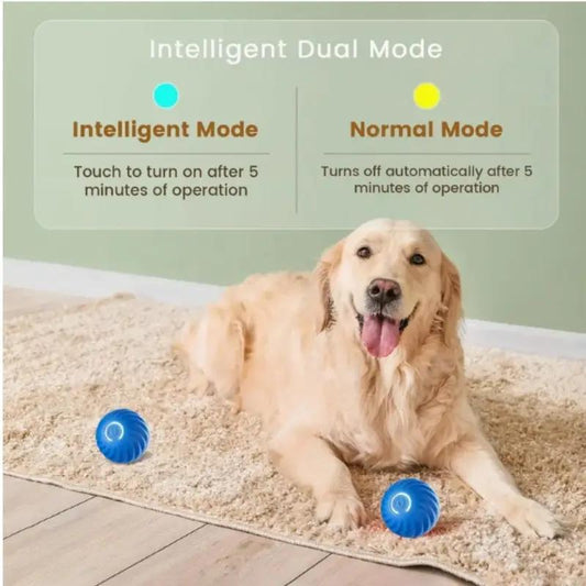 Blue And Orange Pet Bouncing Ball Fun Pet Bouncing Ball For Cats And Dogs,Self - pickup Only - 5 - CJ