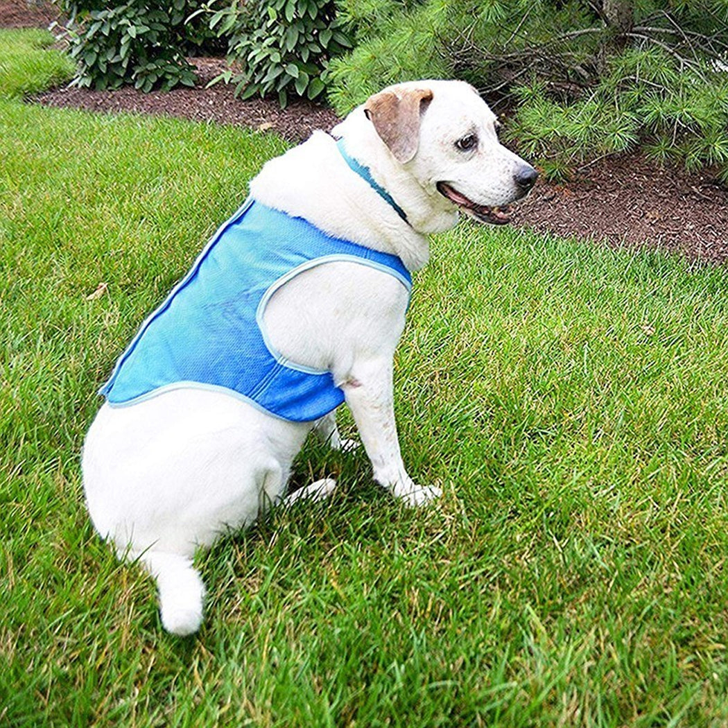 Dog Summer Cooling Vest, Pet Cooling Clothes Dog Cat Cooling Vest, Summer Heat Relief Vest Pet Dog Clothes Summer Clothes For Dogs Dog Cooling Vest - 5 - CJ