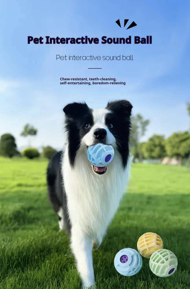Pet Interactive Sound Ball,The Mellow Dog Cat Pet Voice Ball,Interactive Pet Squeaky Toys - 5 - CJ