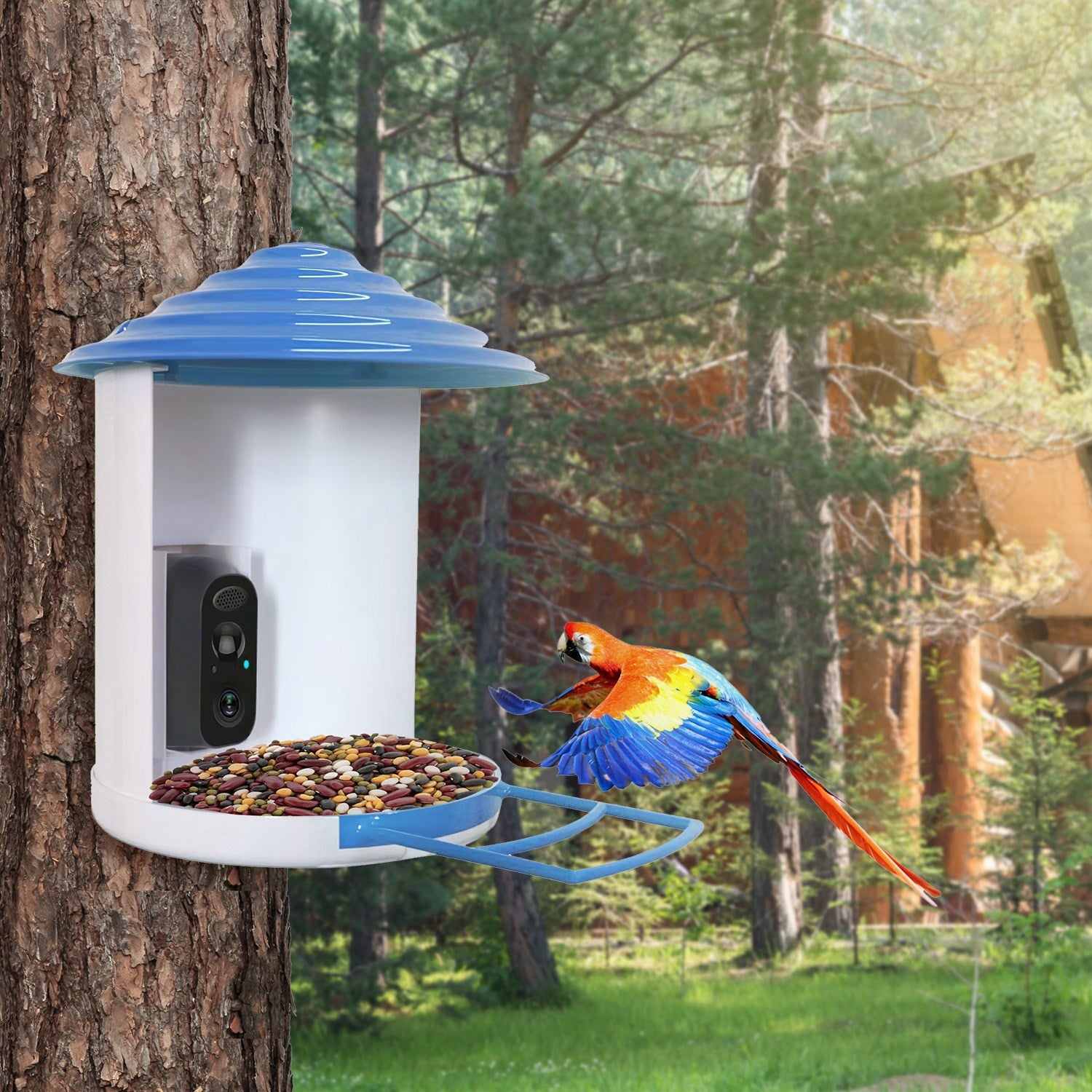 Smart Bird Feeder With Solar Powered Camera 1080P HD AI Identify PIR Motion Auto Capture Video Cloud Card Storage WiFi Connection App Control IP65 Waterproof by CJ