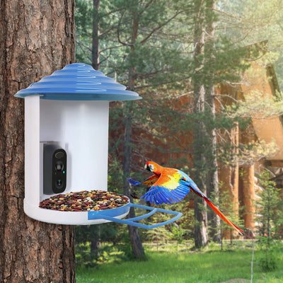 Smart Bird Feeder With Solar Powered Camera 1080P HD AI Identify PIR Motion Auto Capture Video Cloud Card Storage WiFi Connection App Control IP65 Waterproof - 5 - CJ