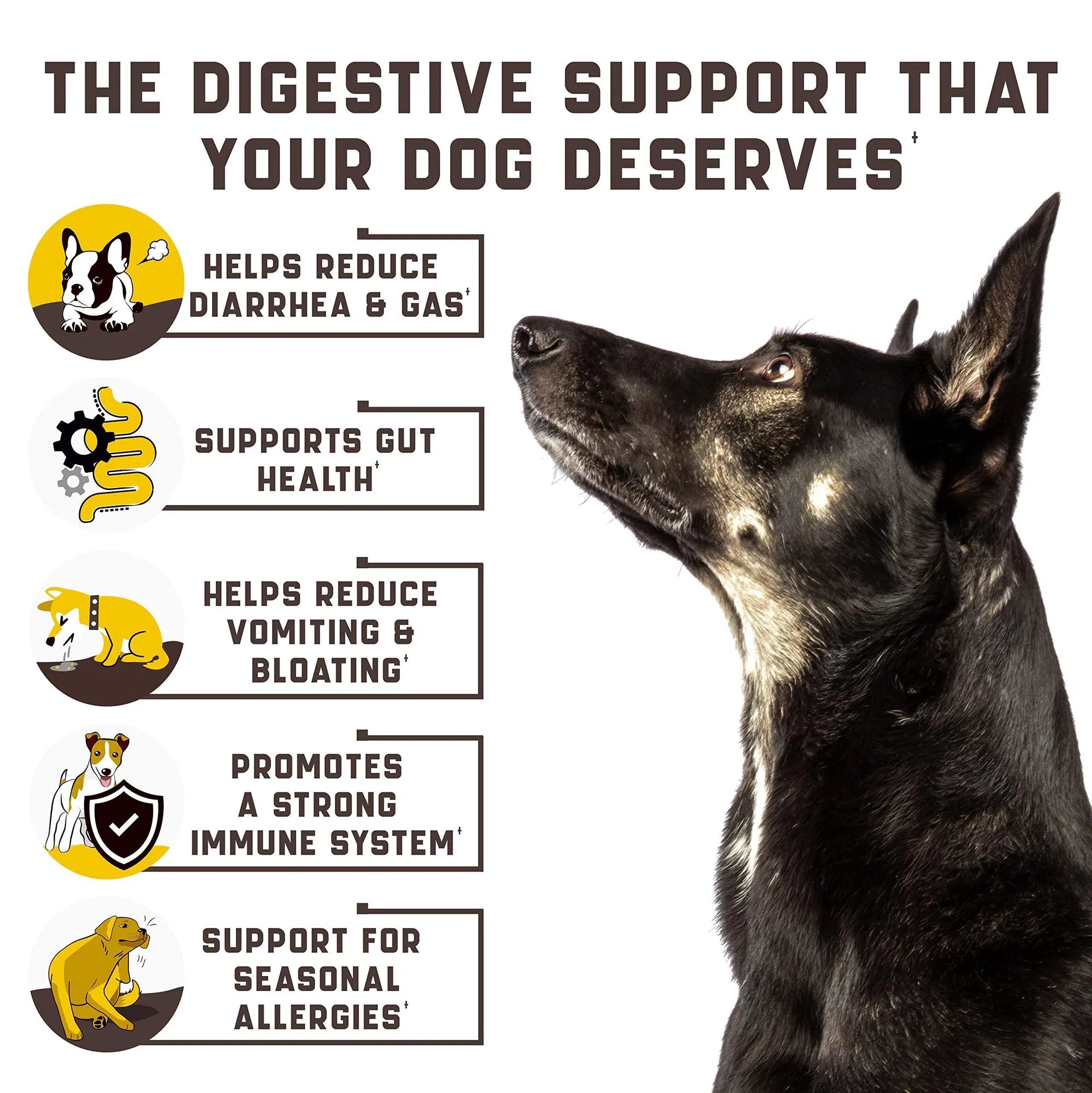 Probiotics For Dogs Support Gut Health Itchy Skin Allergies Yeast Balance Immunity Dog Probiotics And Digestive Enzymes For Small Medium And Large Dogs 180 Probiotic Chews For Dogs Duck Flavor - 5 - CJ