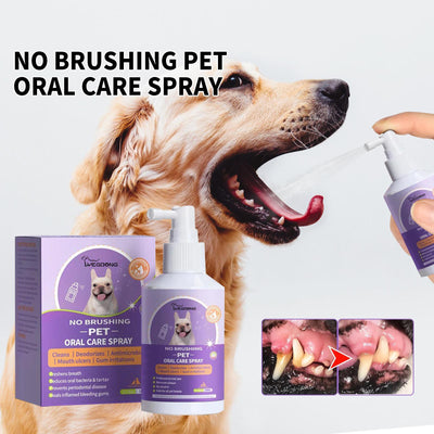 Yegebang Cat And Dog Teeth Cleaning Spray Pet Oral Cleaning Deodorizing Fresh Breath - 5 - CJ