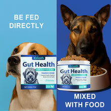 Dog Intestinal Health Soft Granules - 0 - CJ