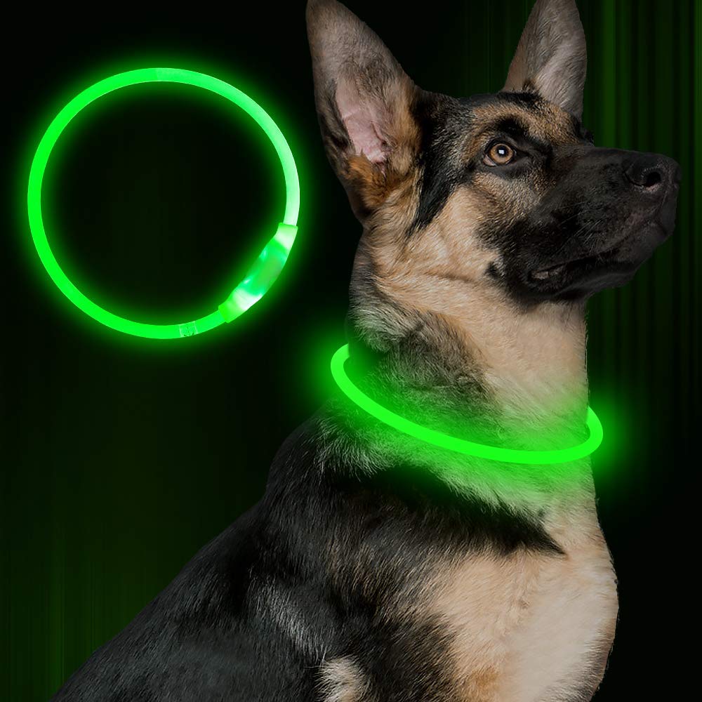 Pet Flashing Collar USB Rechargeable Glowing Necklace Safety Collar Light Up Collars For Night Walking Electric Dog Collar Neon - 0 - CJ