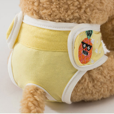 Sanitary Napkin Pet Menstrual Aunt Pants - 0 - CJ - Succulent Pineapple - XXL - CJGD137077224XC
