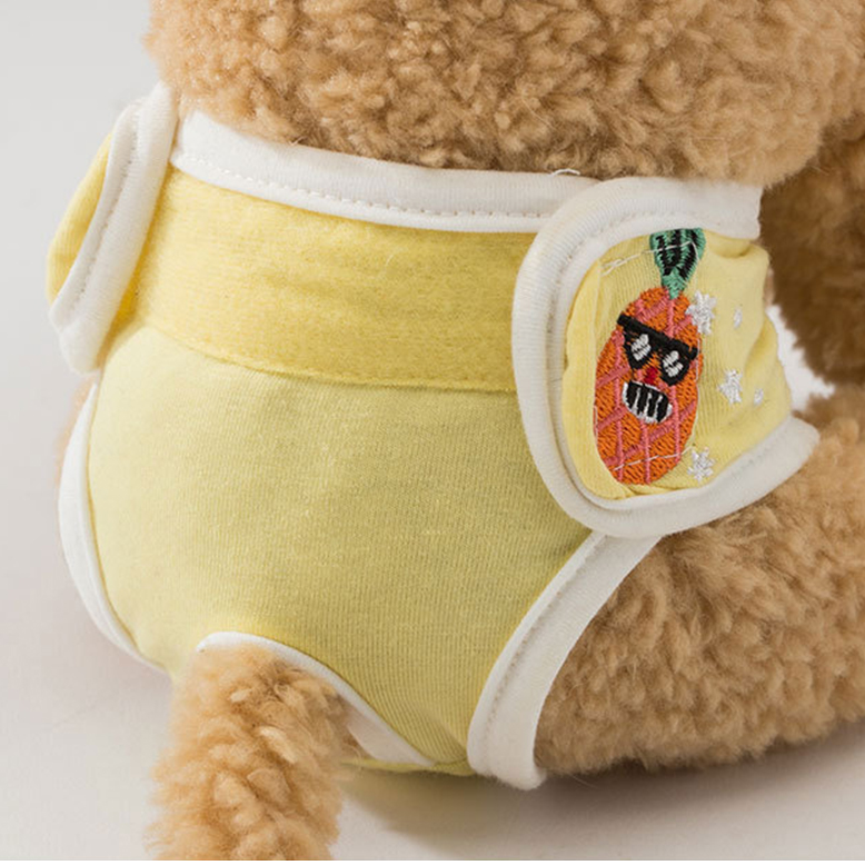 Sanitary Napkin Pet Menstrual Aunt Pants - 0 - CJ - Succulent Pineapple - XXL - CJGD137077224XC