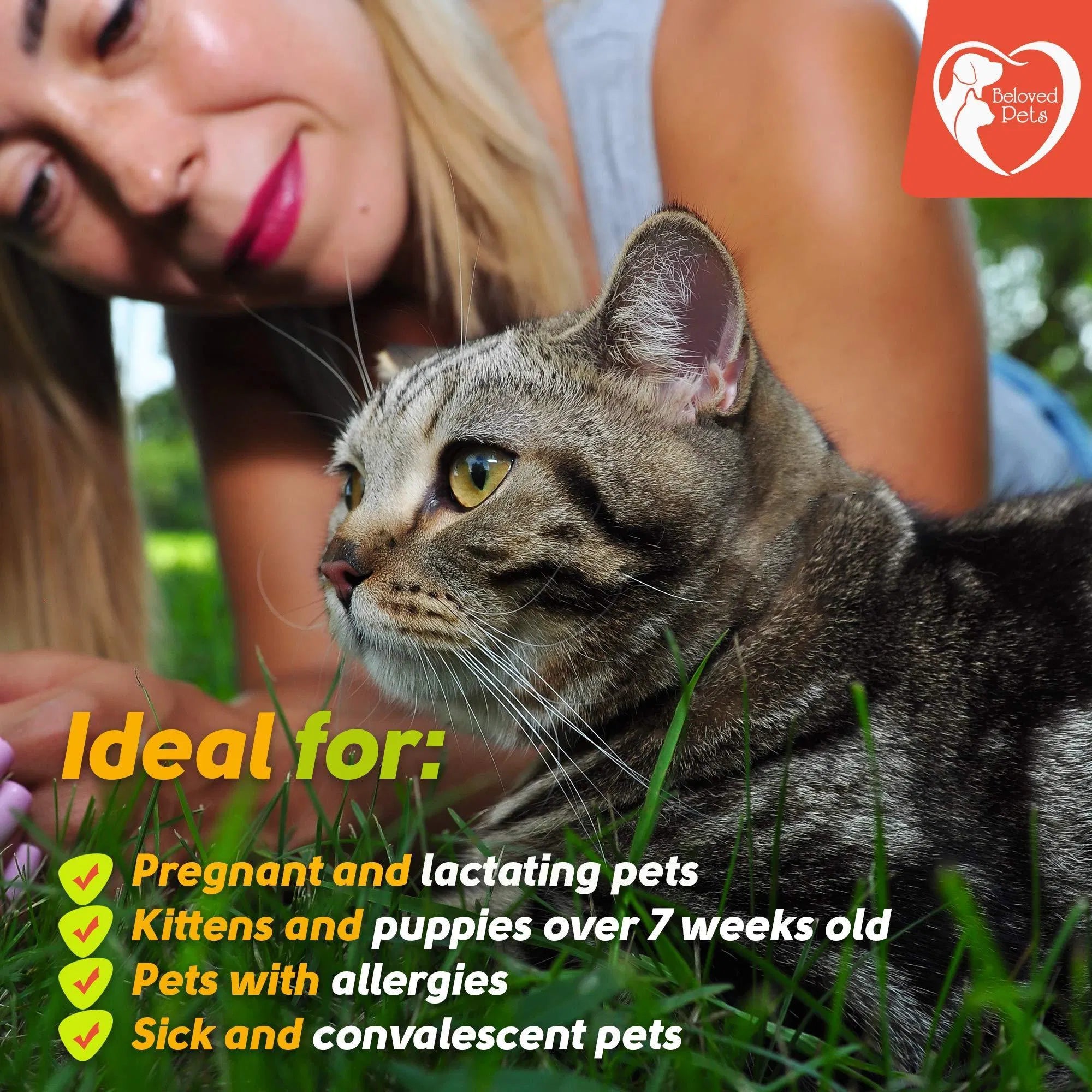 Flea And Tick Prevention For Dogs Cats Rabbits Natural Flea Treatment Home Pest Control Topical Flea Mosquito Repellent For Puppy Kitten 3 Drops For Small And Large Pet - 5 - CJ