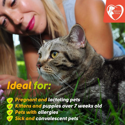 Flea And Tick Prevention For Dogs Cats Rabbits Natural Flea Treatment Home Pest Control Topical Flea Mosquito Repellent For Puppy Kitten 3 Drops For Small And Large Pet - 5 - CJ