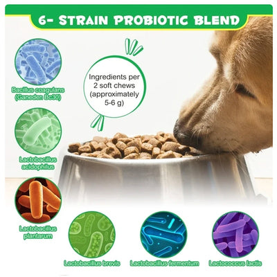 OEM Hot Sales Probiotics Chews For Pets Customized Shape For Digestive Health Pets Supplement Healthy Gut For Dogs - 5 - CJ