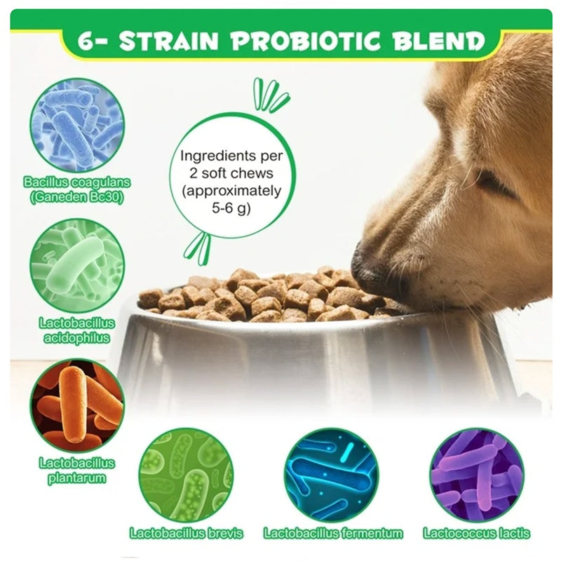 OEM Hot Sales Probiotics Chews For Pets Customized Shape For Digestive Health Pets Supplement Healthy Gut For Dogs - 5 - CJ
