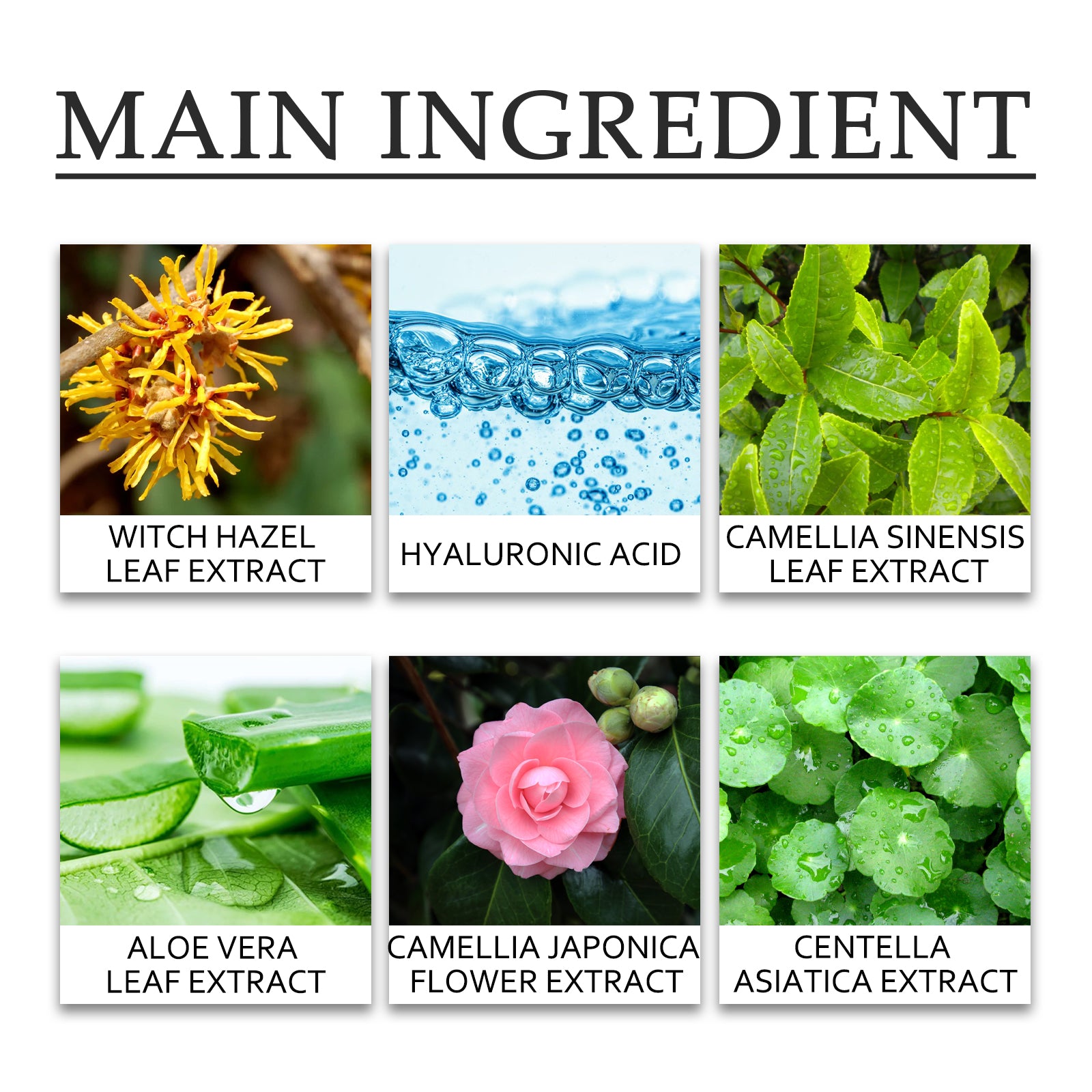 Hoygi Green Tea Cleansing Mud Mask, Facial Cleansing Moisturizing Whitening Skin Blackhead Acne Removing Mud Mask - 5 - CJ