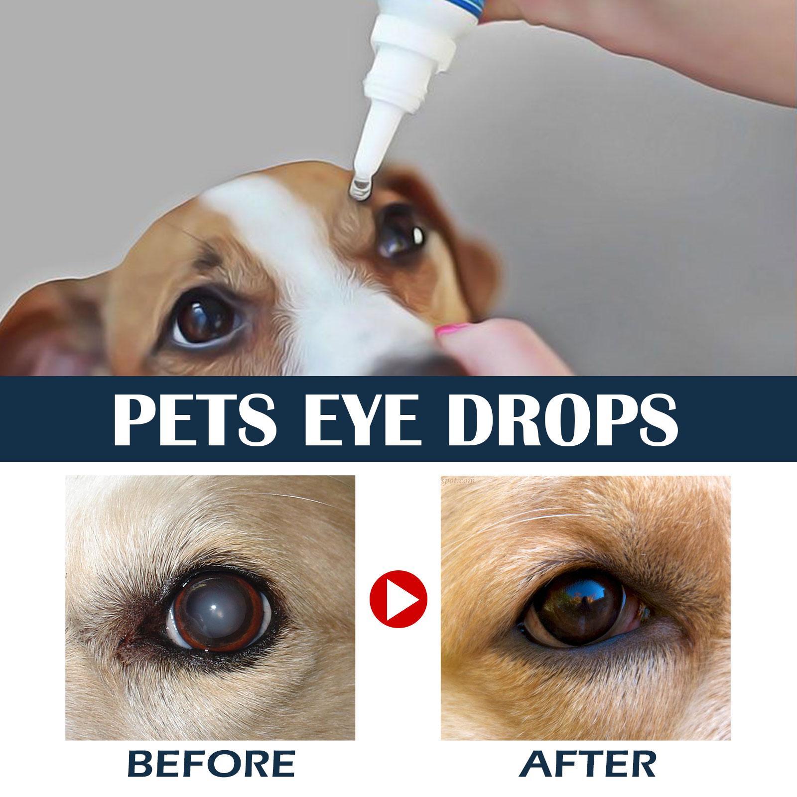 Igbang Pet Eye Drops For Cats And Dogs To Remove Tear Marks, Relieve Itchy Eyes And Clean - 5 - CJ