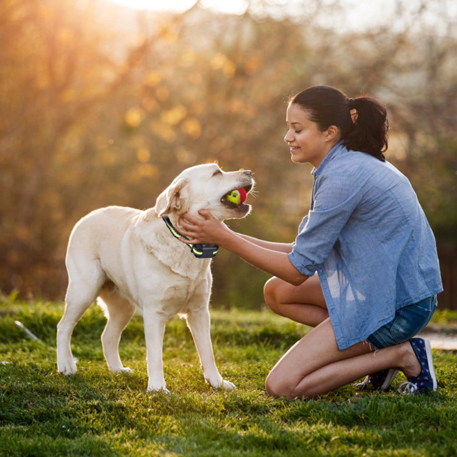 Dog Bark Collar Rechargeable Waterproof Beep Vibration Static Stimulation Bark Stopper Automatic Identification Collar With 6 Intensity Dual Modes - 5 - CJ