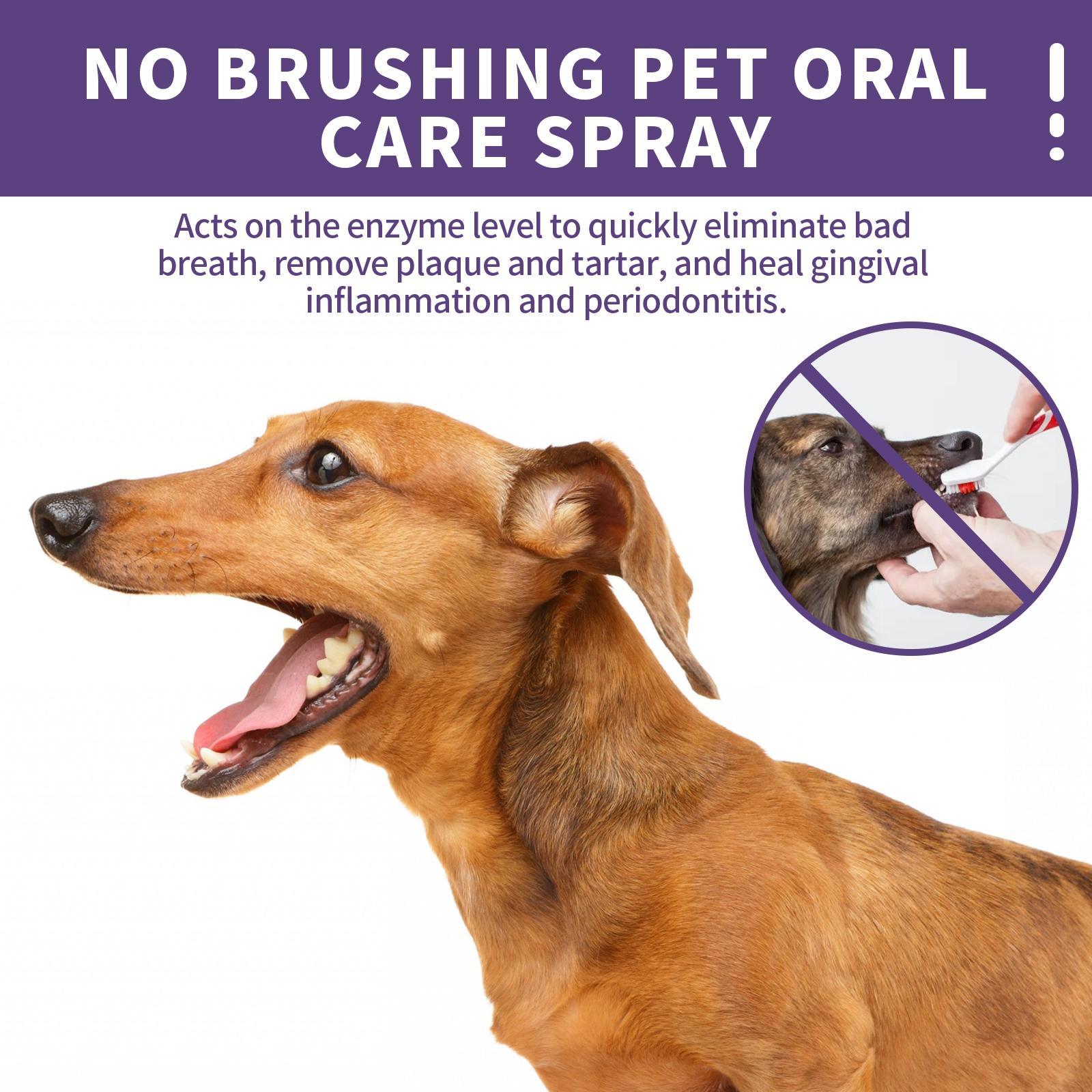 Yegebang Cat And Dog Teeth Cleaning Spray Pet Oral Cleaning Deodorizing Fresh Breath - 5 - CJ