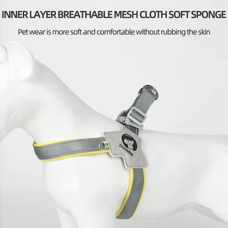 Pet Dog Cat Harness, Pet Harness With LeashSet, Adjustable Puppy Harness ComfortableReflective Easy Control Dog With Leather Leash,.No - Pull No Choke Pet Harness For TrainingWalking - 5 - CJ
