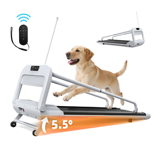 New Quiet Smart Pet Treadmill, Adjustable Speed, Perfect For Small Medium Dogs - 5 - CJ