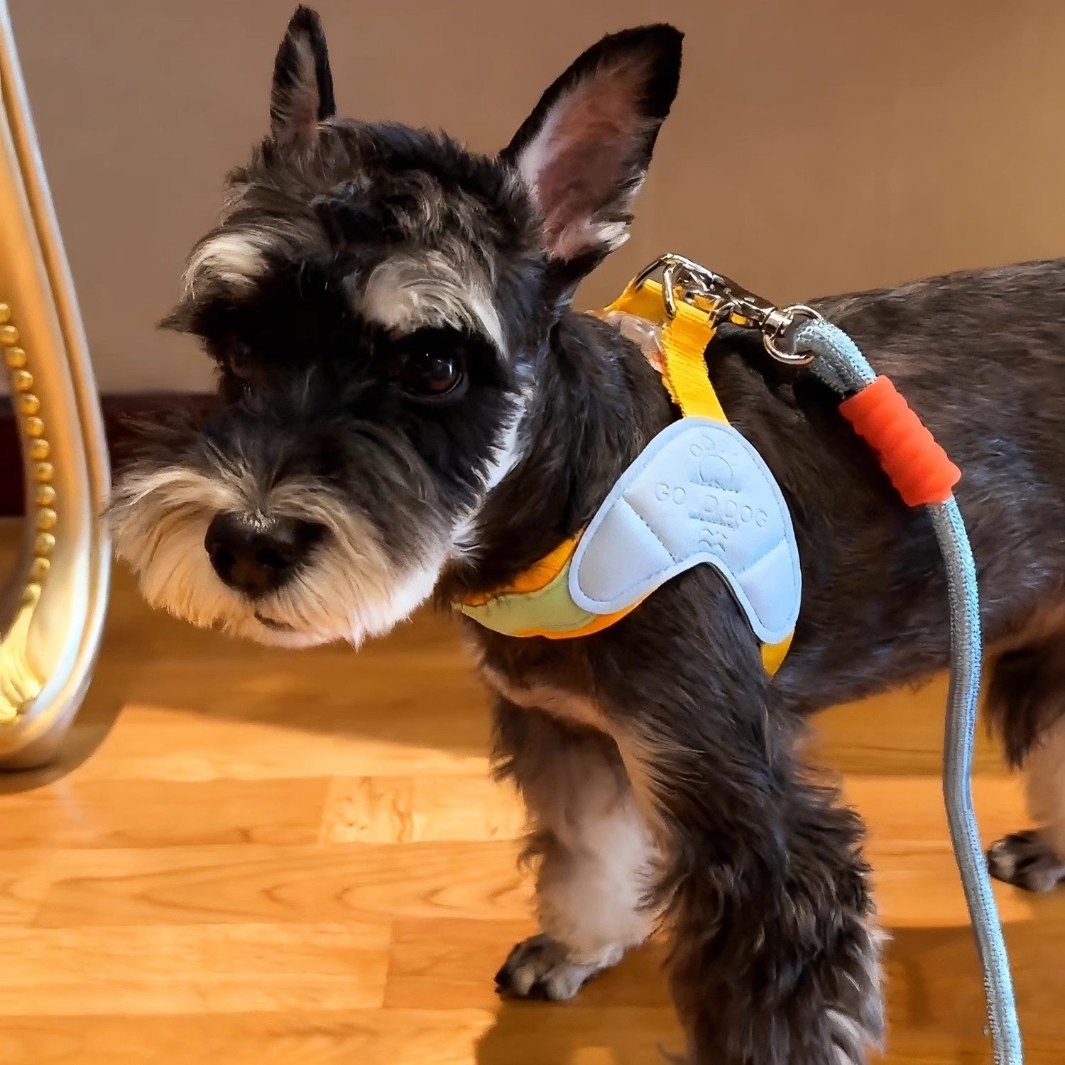 Dog Harness Vest - style Leash, Dopamine Dog - 0 - CJ