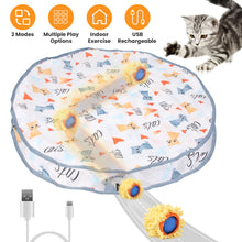 1Pc Cat Toys Ball Fast Rolling In Pouch Rechargeable Motion Activated Interactive Cat Toys For Indoor Cats Hide And Seek Mouse Catching Game - 5 - CJ