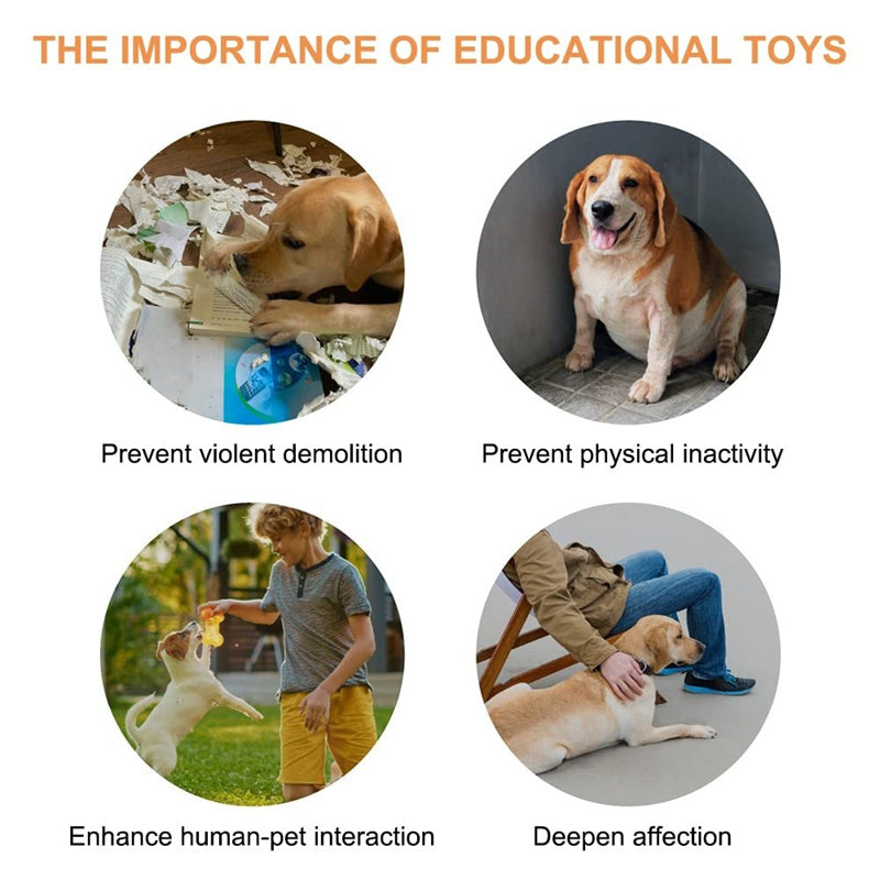 4 Colors Pet Communication Button One - click Prevent Physical Inactivity Recordable Dog Talking Button Toy Cat Toy Pet Products - 0 - CJ