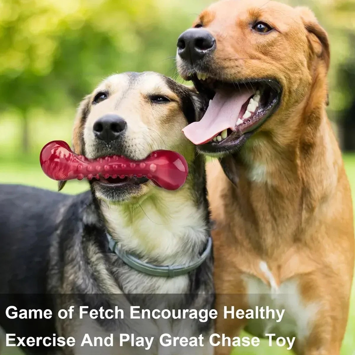 Natural Rubber Chew Toy Suitable For Aggressive Dogs - Durable And Long - Lasting Suitable For Dogs Chewing Heavy Objects - 4 - CJ