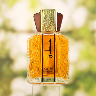 Men's And Women's Long - lasting Fragrances, Niche Fragrances - 100ml - 5 - CJ
