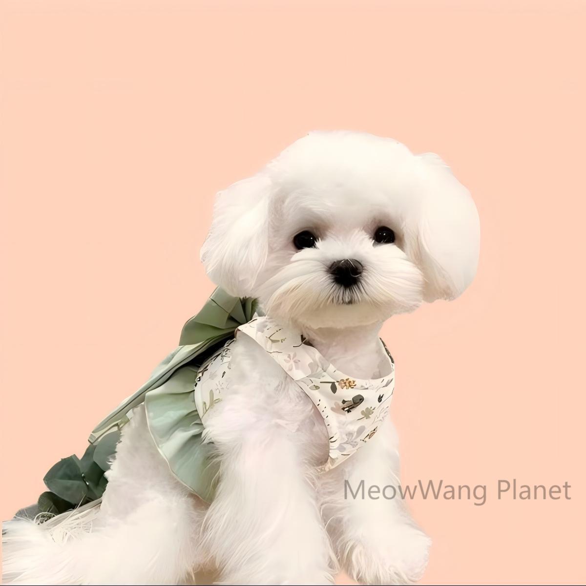 Pet Harness Leash Set Elegant Adjustable Half Vest Design For Cats Small Dogs Stylish Outdoor Walking Gear With Secure Escape Proof Fit Luxury Pet Gift For Cats Dogs