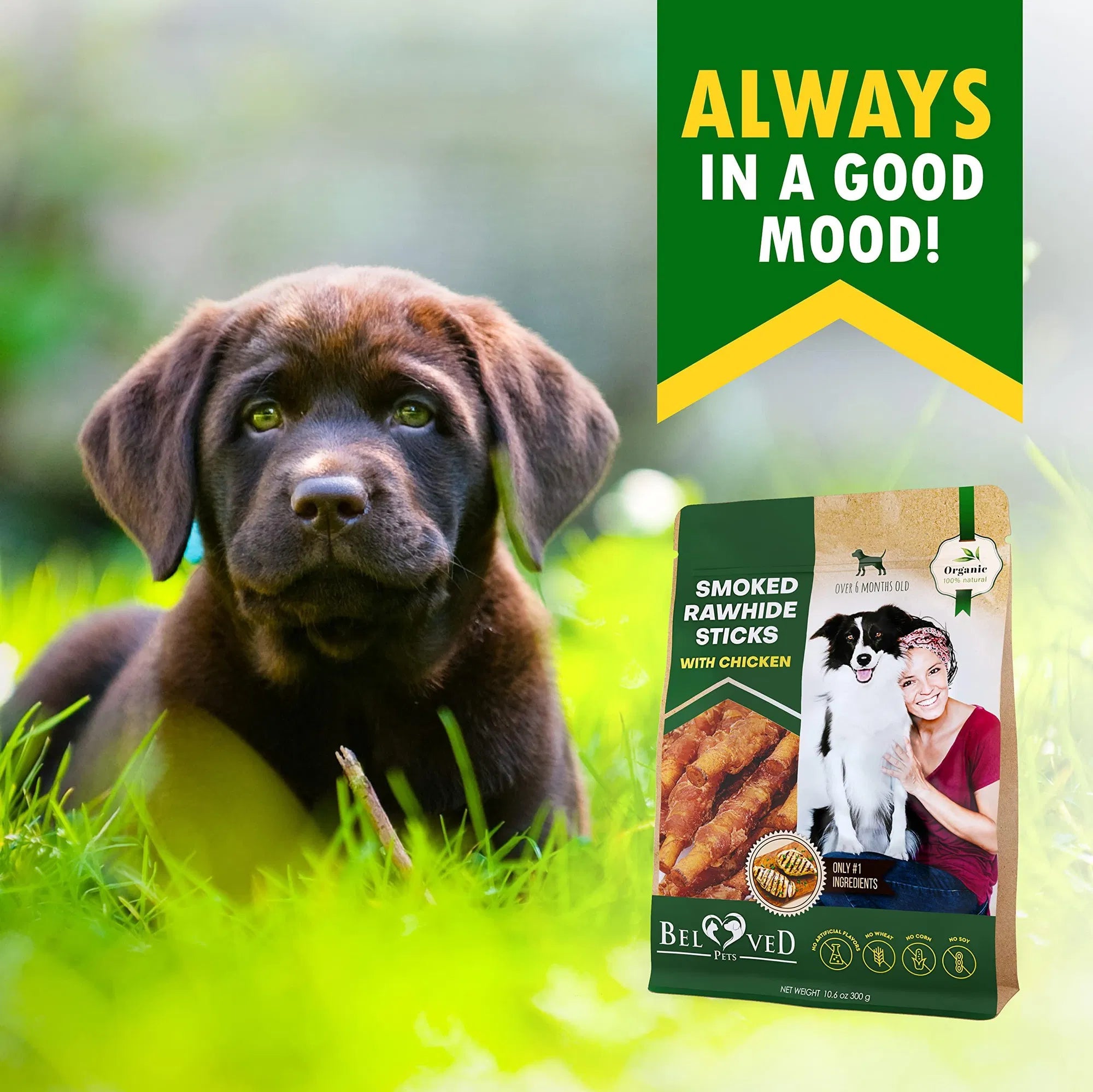 Dog Smoked Rawhide Sticks Wrapped Chicken Pet Natural Chew Treats Grain Free Organic Meat Healthy Human Grade Dried Snacks In Bulk - 5 - CJ