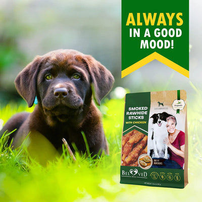 Dog Smoked Rawhide Sticks Wrapped Chicken Pet Natural Chew Treats Grain Free Organic Meat Healthy Human Grade Dried Snacks In Bulk - 5 - CJ