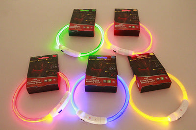 Pet Flashing Collar USB Rechargeable Glowing Necklace Safety Collar Light Up Collars For Night Walking Electric Dog Collar Neon - 0 - CJ
