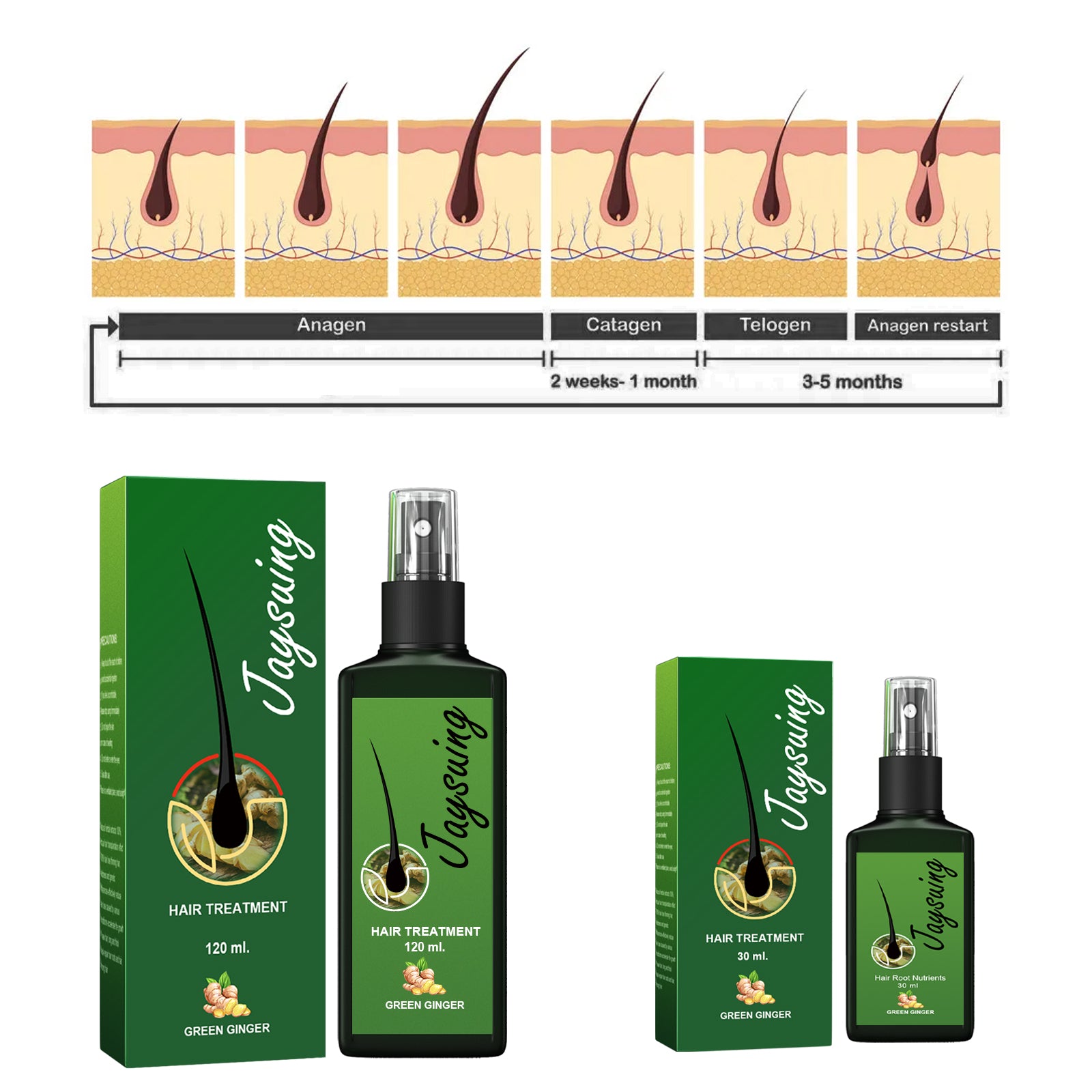 Jaysuing Hair Treatment, Strengthens Hair, Nourishes Root Growth And Thickens Scalp Massage Nutrient Solution - 5 - CJ
