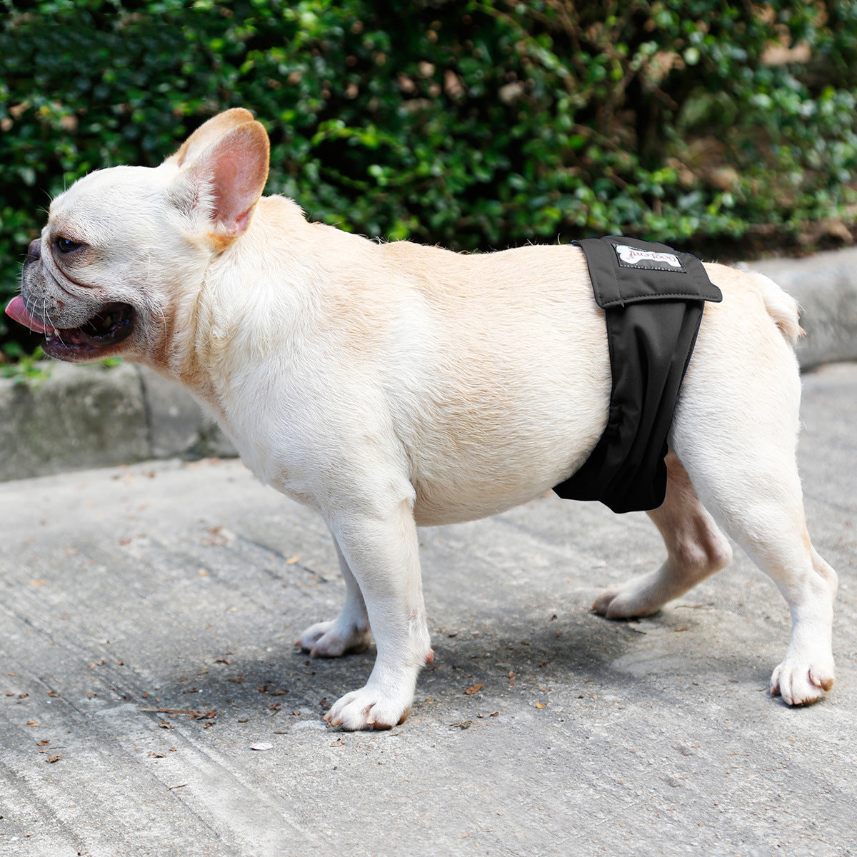 Male Dog Restraint Courtesy Belt Pet Supplie  Washable Sanitary Diapers - 0 - CJ - Black - XXL - CJGD137076906FU
