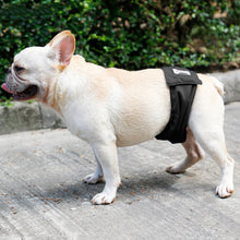 Male Dog Restraint Courtesy Belt Pet Supplie  Washable Sanitary Diapers - 0 - CJ - Black - XXL - CJGD137076906FU