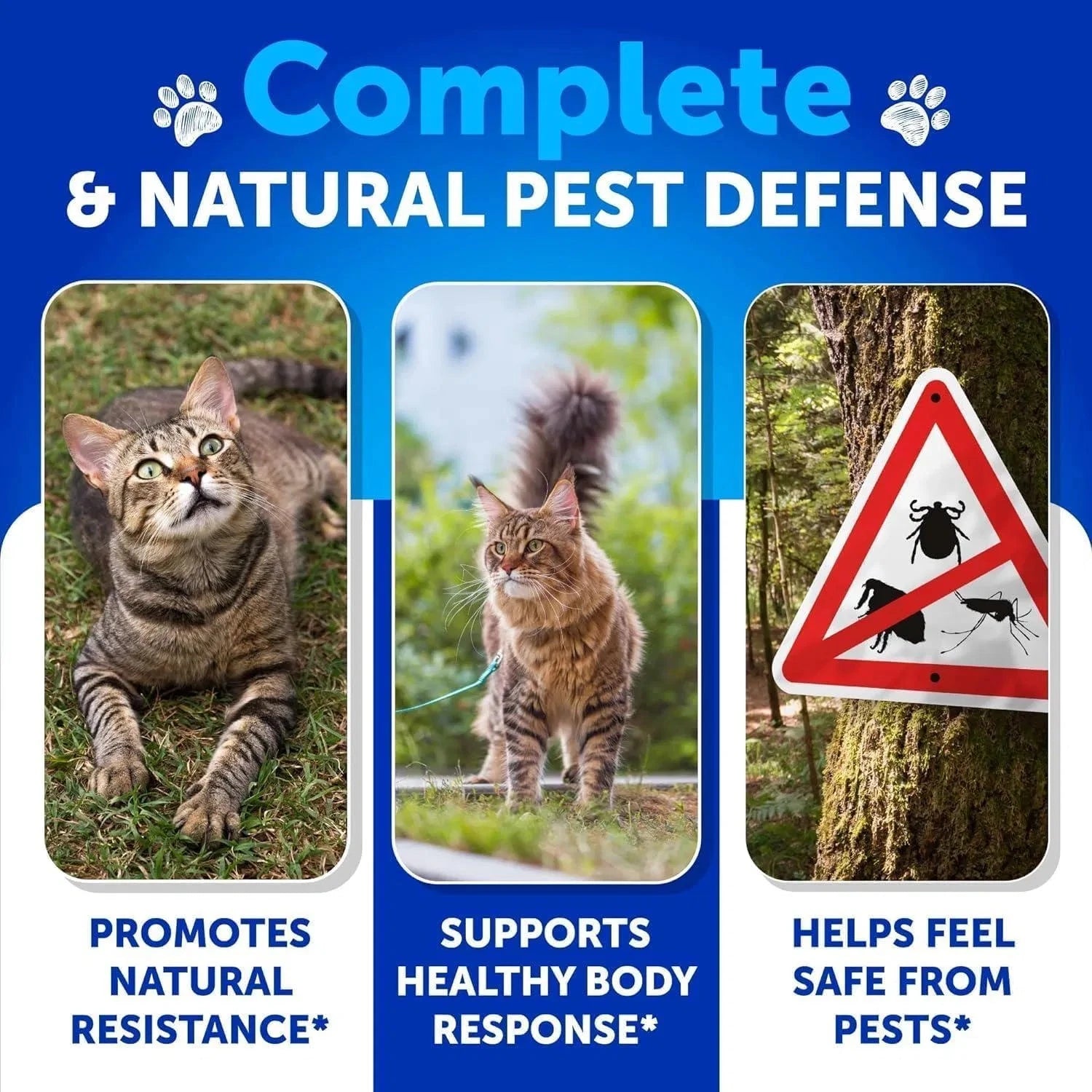Flea Treatment For Cats Natural Flea And Tick Prevention Supplement For Cats Kittens Chewable Daily Oral Pills With Vitamins 135 Soft Chews Skin & Coat Dental Treats Digestion by CJ