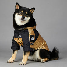Dog Large Dog Raincoat Pet Jacket - 0 - CJ - Gold - 5XL - CJGD135073208HS
