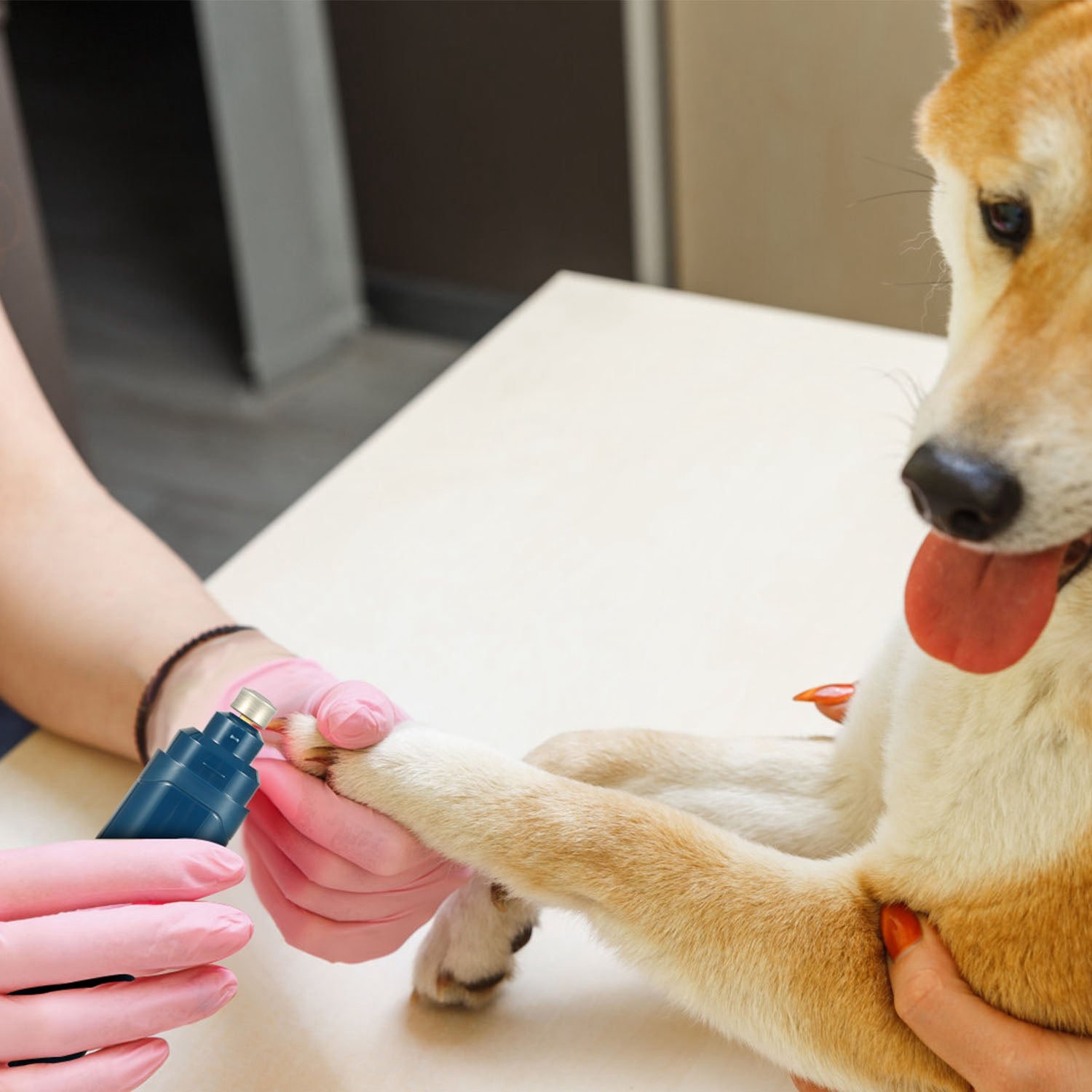 1Pc Dog Nail Grinder 2 Speeds Quiet USB Rechargeable Pet Nail Grinder Professional Pet Nail Trimmer Cordless Paws Grooming & Smoothing Claw Care For Small Medium Large Dogs & Cats - 5 - CJ
