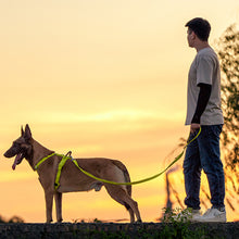 Medium And Large Breed Dogs Hand - held Dog Leash And Harness - 0 - CJ