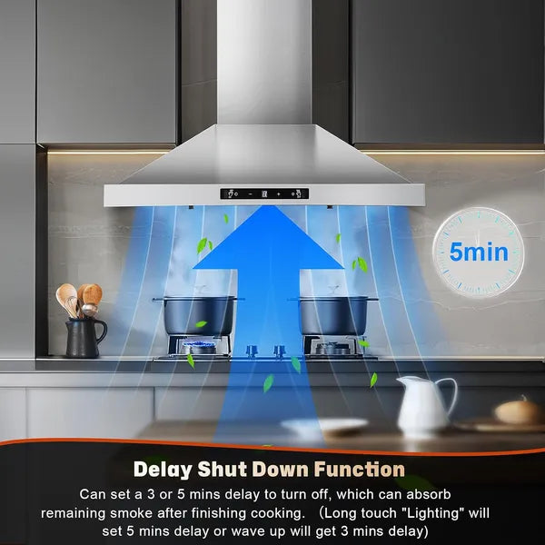 24-Inch 450 CFM Stainless Steel Wall-Mount Range Hood