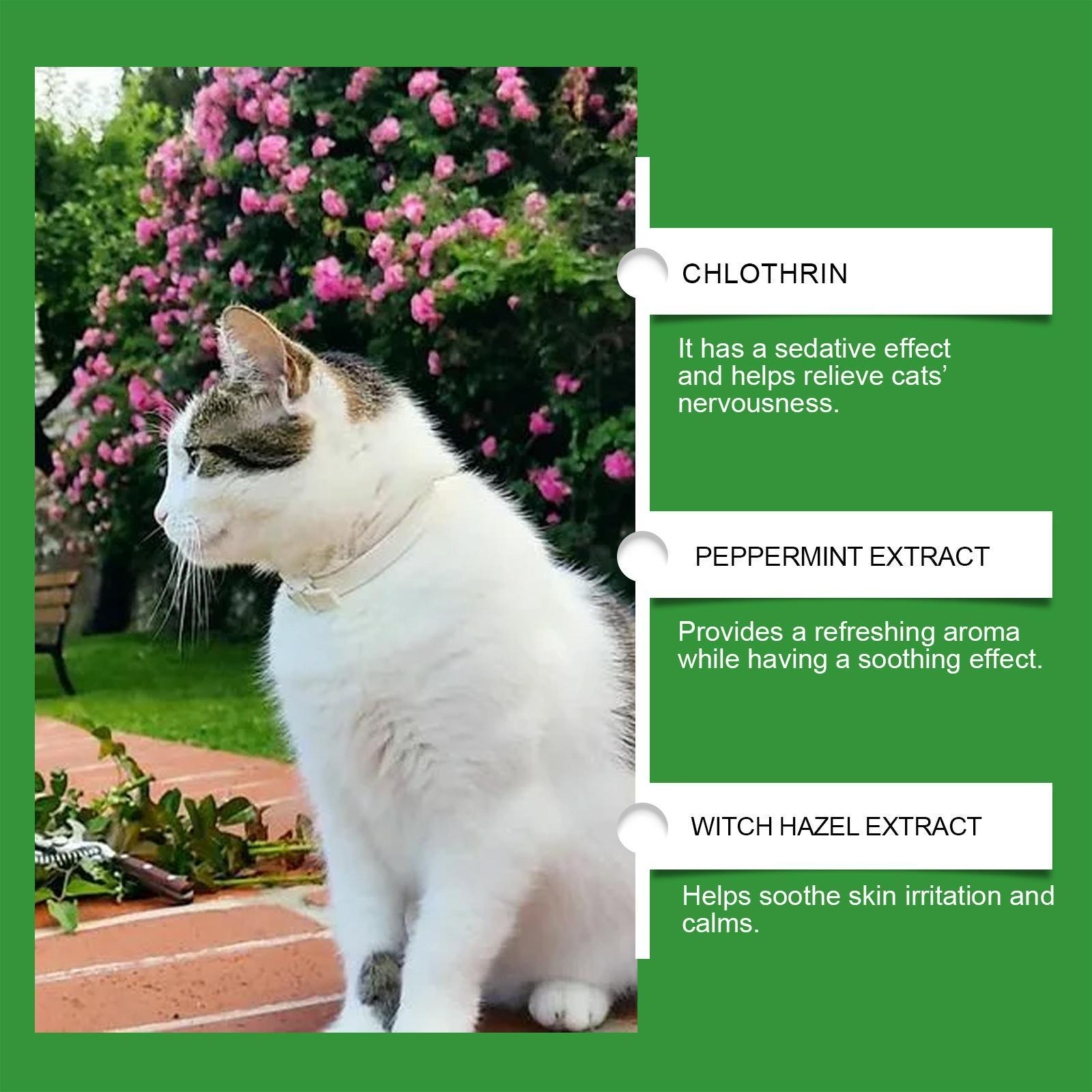 Yegebang Cat Emotional Care Set Pet Cat Soothing Calm Estrus Irritability Mood Noise Reduction Care - 5 - CJ