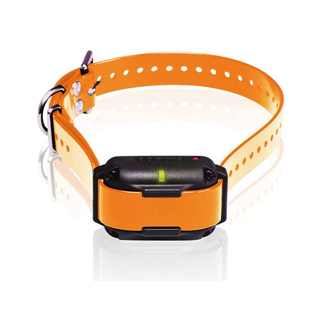 Edge RT Trainer Extra Collar - Orange