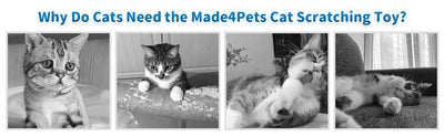 Indoor Cat Soft Scratching Board And Interactive Ball Track Toy Cat Rest And Grooming Supplies - 5 - cjdroshippping