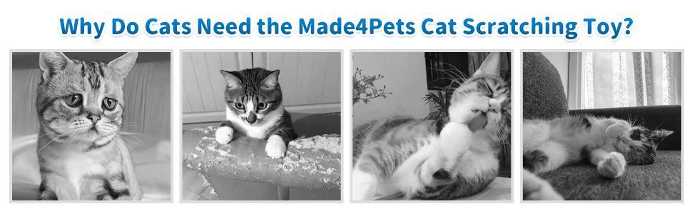 Indoor Cat Soft Scratching Board And Interactive Ball Track Toy Cat Rest And Grooming Supplies - 5 - cjdroshippping