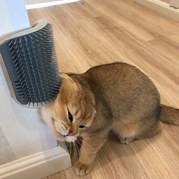 Cat Self - Grooming Brush Pet Wall Rubbing Device - 0 - CJ