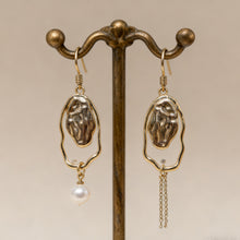 Fashion Earrings - 5 - CJ