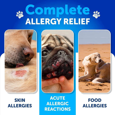 Dog Allergy Relief Chews Itching Skin Relief For Dogs Fish Oil 3 Seasonal Allergies Pills Skin & Coat Anti ItchHot Spots Treatment Canine Immune Health Supplement 120 Soft Treats - 5 - CJ