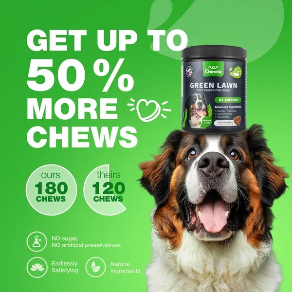 Grass Burn Spot Chews For Dogs Urine Neutralizer - 5 - CJ