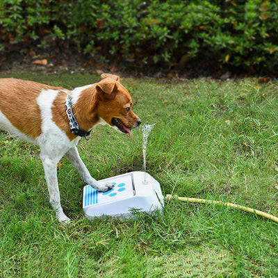 Outdoor Supplies Dog Water Feeder Intellectual Toys - 0 - CJ